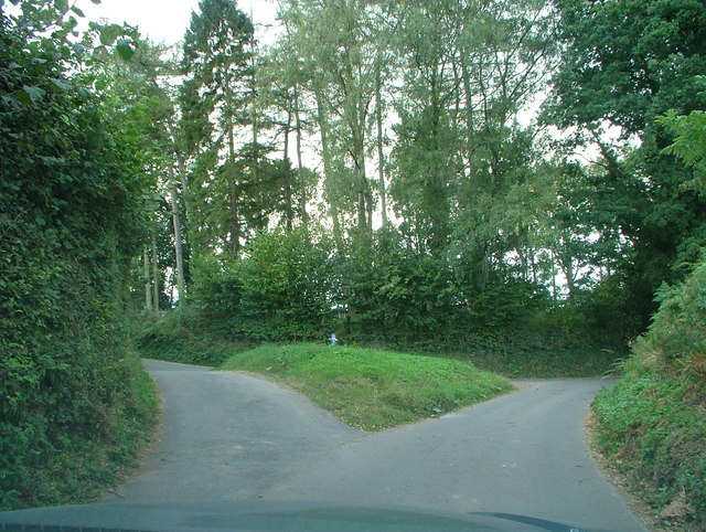 A_fork_in_the_road_-_geograph.org.uk_-_558151